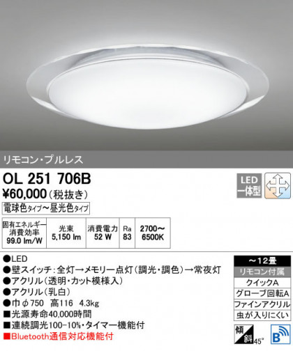 ODELIC ǥå 󥰥饤 OL251706B ñʲ