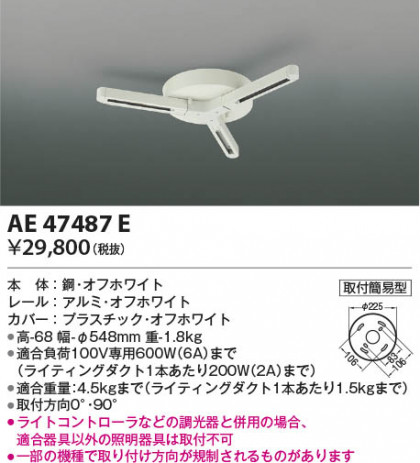 β Koizumi ߾ 饤ƥ󥰥 AE47487E
