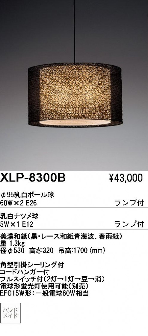 ƣENDOABiTAڥȡXLP-8300B