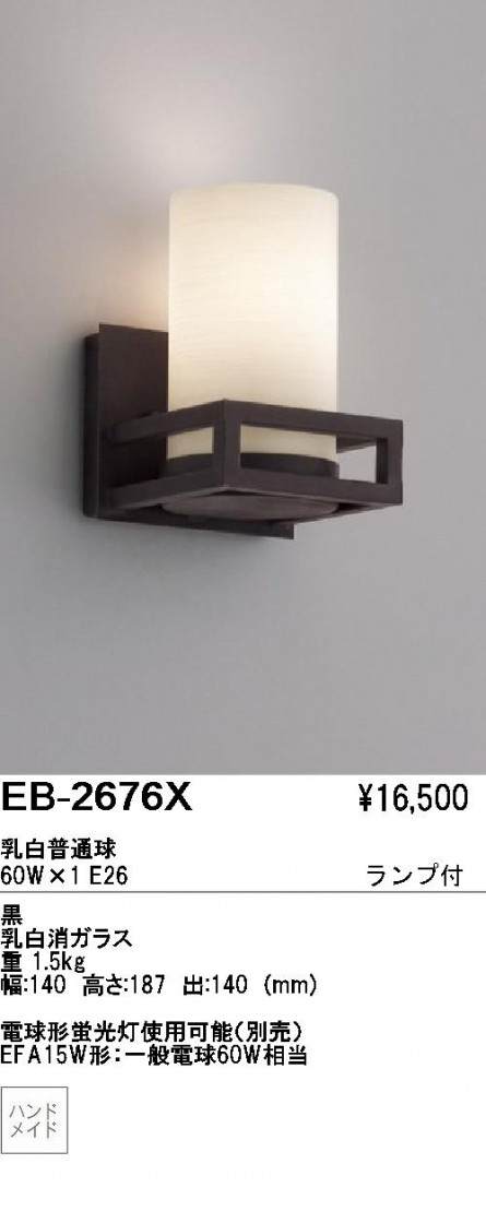ƣ ENDO ֥饱å EB-2676X