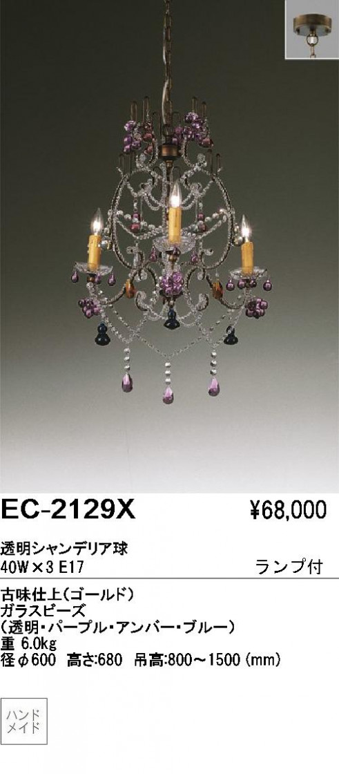 ƣ ENDO ǥꥢ EC-2129X