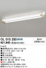 ODELIC OL015250