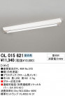 ODELIC OL015621