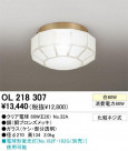 ODELIC OL218307