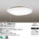 ODELIC OL111248N