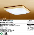 ODELIC OL112496N