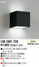 ODELIC OB080736