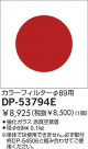 DAIKO 顼ե륿 DP-53794E