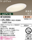 ѥʥ˥åŹ PANASONIC 饤 HFA9690E