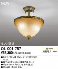 ODELIC ǥå 󥰥饤 OL001757