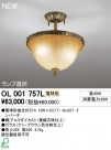 ODELIC ǥå 󥰥饤 OL001757L