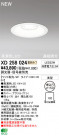 ODELIC ǥå 饤 XD258024