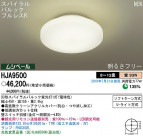 PANASONIC ѥʥ˥åŹ 󥰥饤 HJA9500