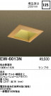ENDO 饤 EW-6013N