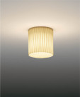 ƣ ENDO  EG-1067W