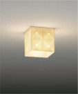 ƣ ENDO  EG-1068W