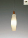 ƣ ENDO ڥ EP-9224X