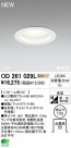 ODELIC LED 饤 OD261029L