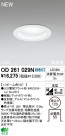 ODELIC LED 饤 OD261029N