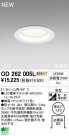 ODELIC LED 饤 OD262005L