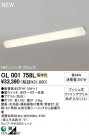 ODELIC ١饤 OL001758L