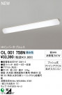 ODELIC ١饤 OL001758N