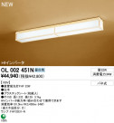 ODELIC ١饤  OL002451N