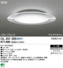 ODELIC LED  OL251055