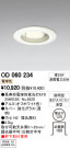 ODELIC ǥå ƥꥢ饤 OD060234