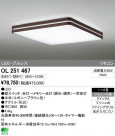 ODELIC ǥå LED 󥰥饤 OL251467