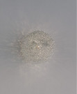ƣ ENDO LED ֥饱å ERB6280S