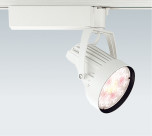ƣ ENDO LED ݥåȥ饤 ERS3887W