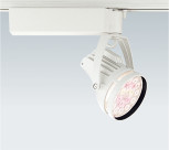 ƣ ENDO LED ݥåȥ饤 ERS3889W