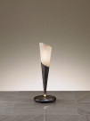 ƣ ENDO LED ơ֥륹 XRF3019X