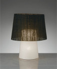 ƣ ENDO LED ơ֥륹 XRF3033B