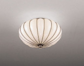 ƣ ENDO LED  XRG4005M