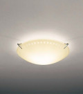 ƣ ENDO LED  XRG4008S