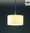 ƣ ENDO LED ڥ XRG4022X