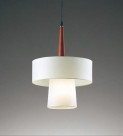 ƣ ENDO LED ڥ XRP6009U