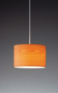 ƣ ENDO LED ڥ XRP6011N