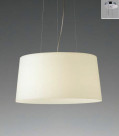 ƣ ENDO LED ڥ XRP6029M