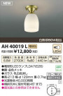 ߾ KOIZUMI LED AH40019L