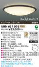 ߾ KOIZUMI ָ AHN637076