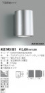 KOIZUMI ɱ֥饱å AUE945081