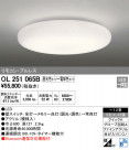 ODELIC ǥå 󥰥饤 OL251065B