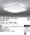 ODELIC ǥå 󥰥饤 OL251067P1
