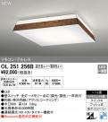 ODELIC ǥå 󥰥饤 OL251256B