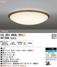 ODELIC ǥå 󥰥饤 OL251263L