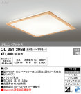 ODELIC ǥå 󥰥饤 OL251395B