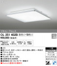 ODELIC ǥå 󥰥饤 OL251402B